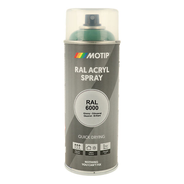 Motip Ral 6000 high gloss patina green