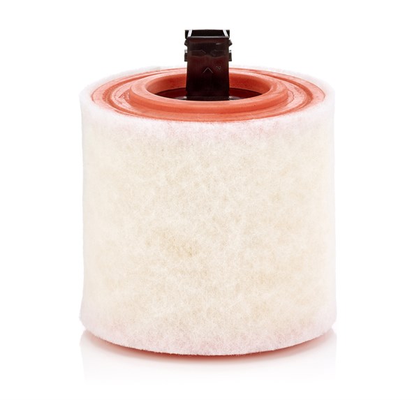 Luftfilter C16012 Mann Hummel 