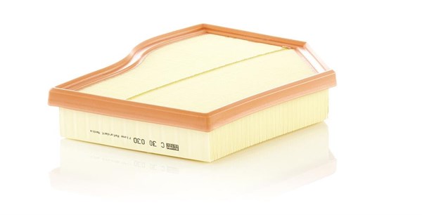 Luftfilter C30030 - Mann Hummel