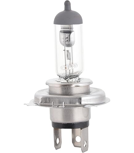 H19 pærer H19 pærer