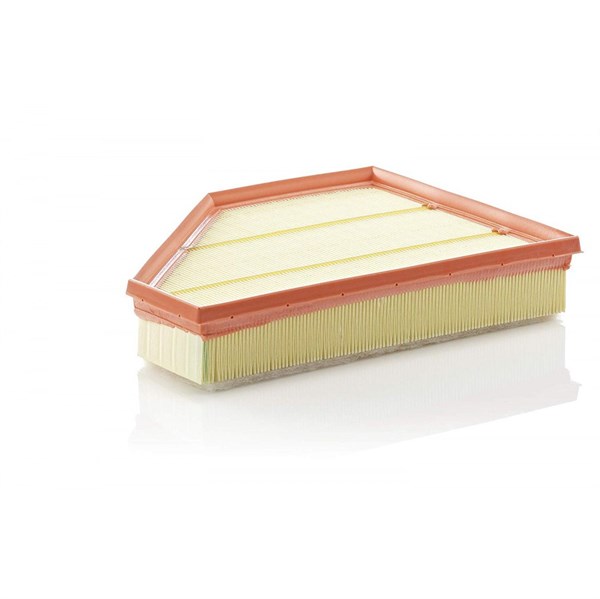 Luftfilter C30135 - Mann Hummel
